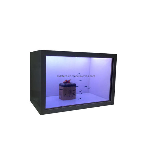 TRANSPARENT DISPLAY