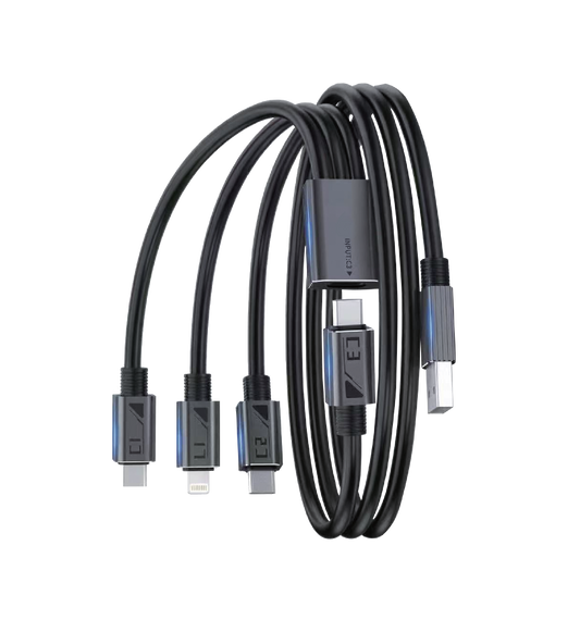 4 in 1 100W Cable